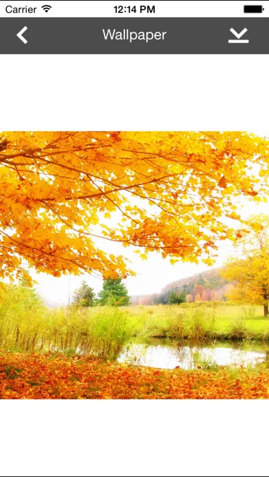 Ảnh chụp màn hình của Wallpaper Collection Nature Edition
