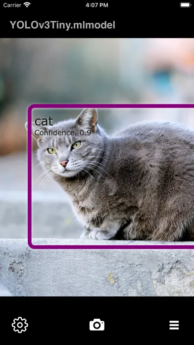 Object Detection Cam 스크린샷
