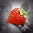 Photo Color Painter Photo Color Painter