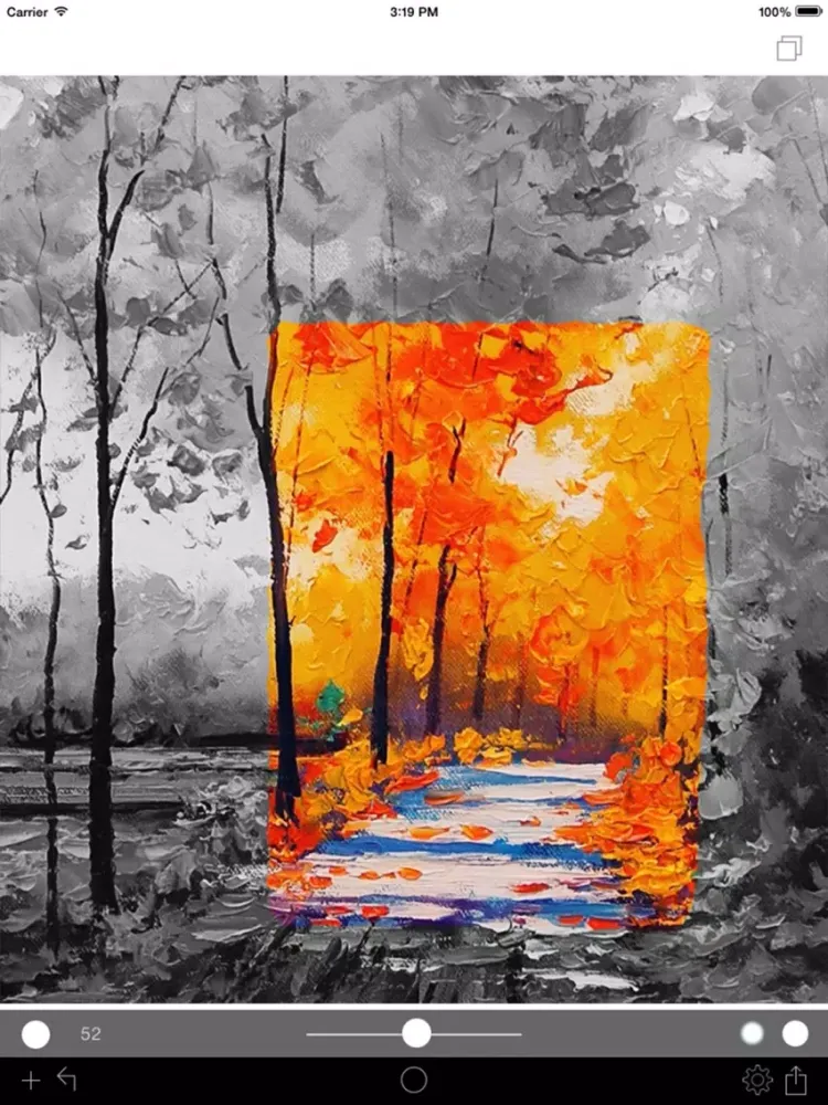 Photo Color Painter iPad  Screenshots