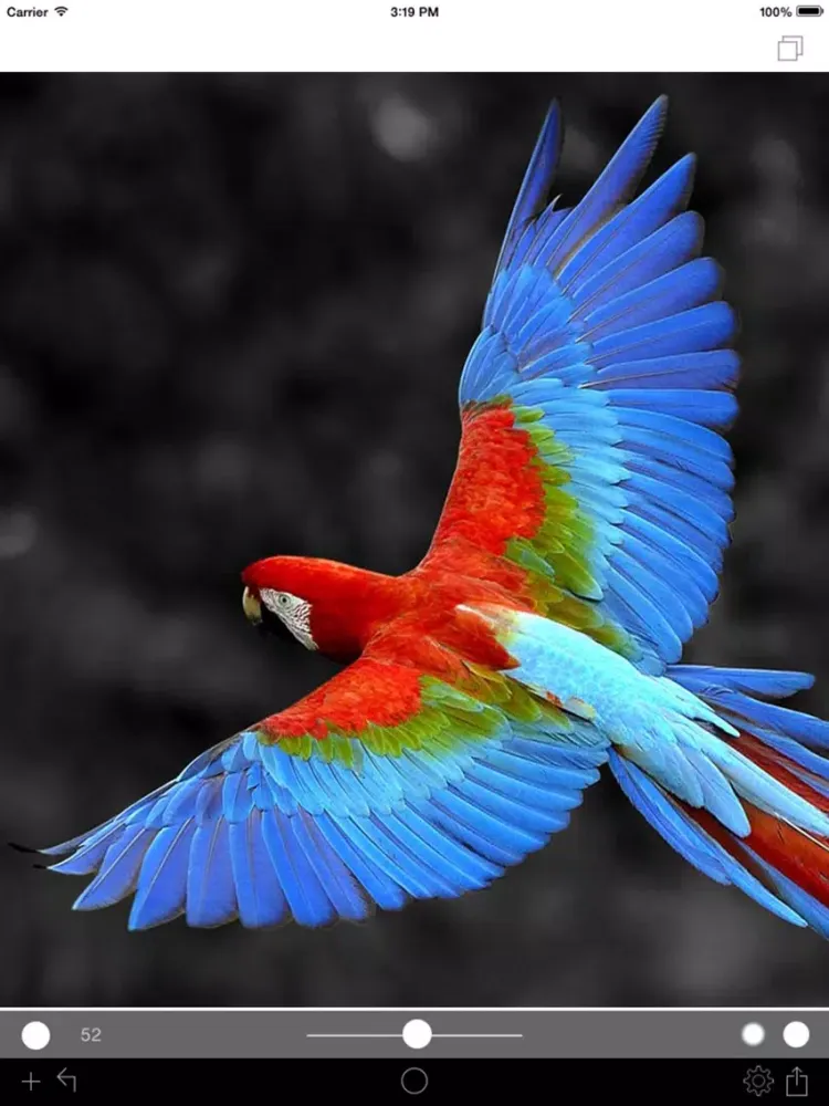 Photo Color Painter iPad  Screenshots