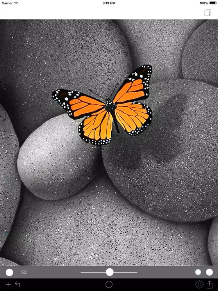 Photo Color Painter iPad  Screenshots
