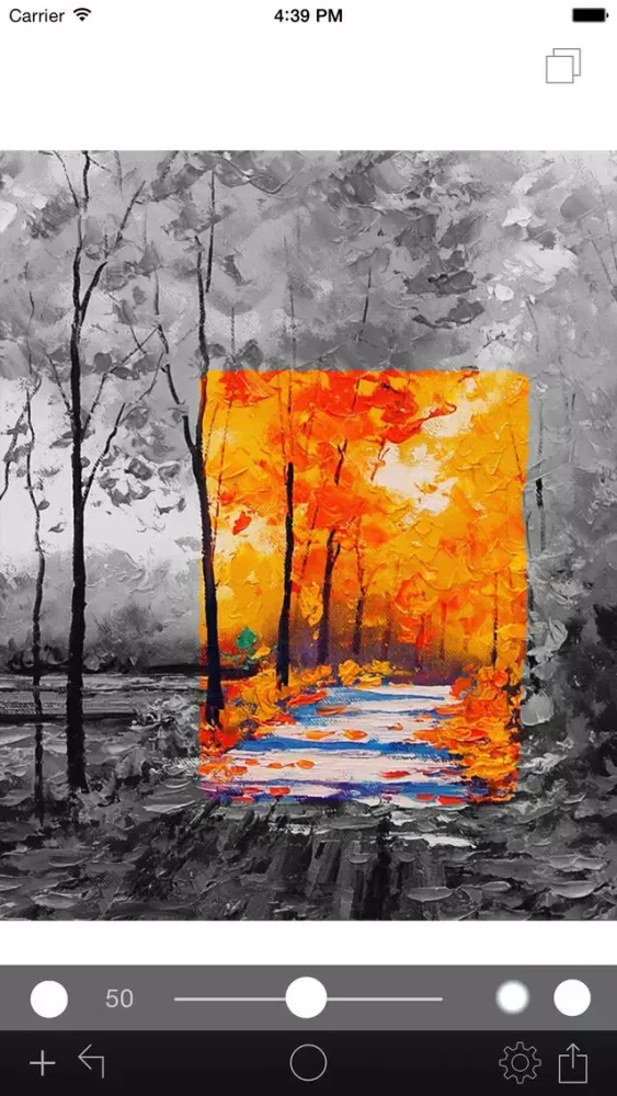Photo Color Painter Screenshots