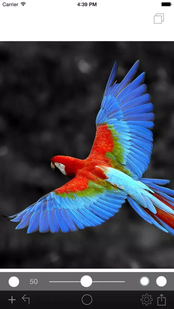 Photo Color Painter Screenshots