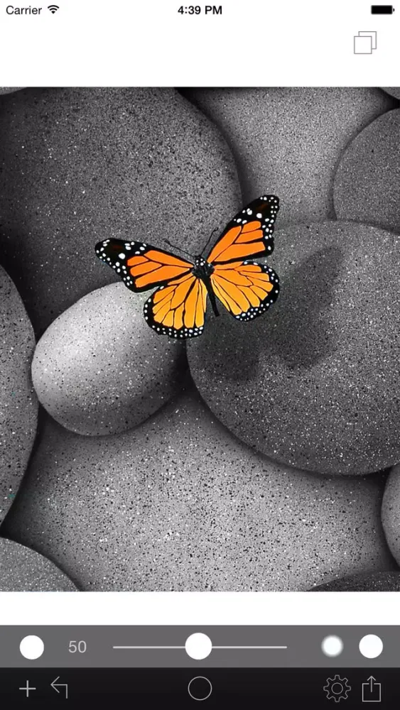 Photo Color Painter Screenshots