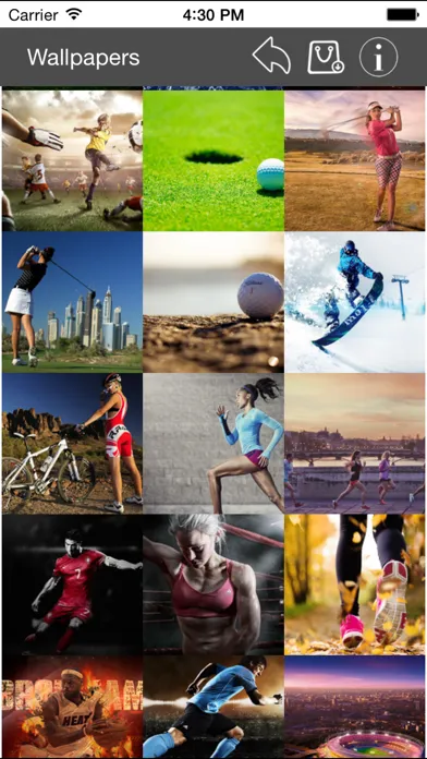 Capturas de tela do Wallpapers Collection Sport Edition