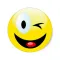 Wink Wink