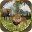 Hunt & Survive In Jungle Hunt & Survive In Jungle