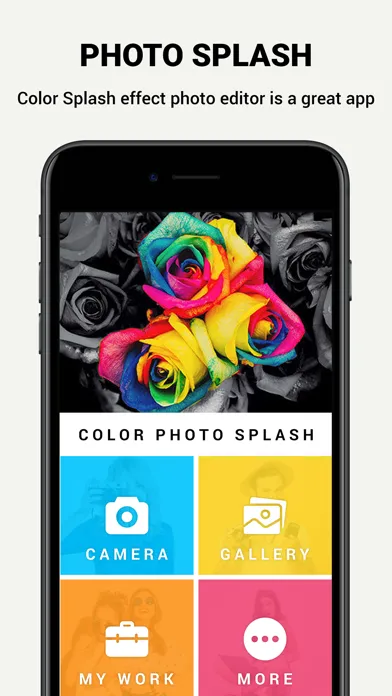 Tangkapan skrin Photo Color Splash Editor