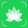 Plant Snap : Identify Plant