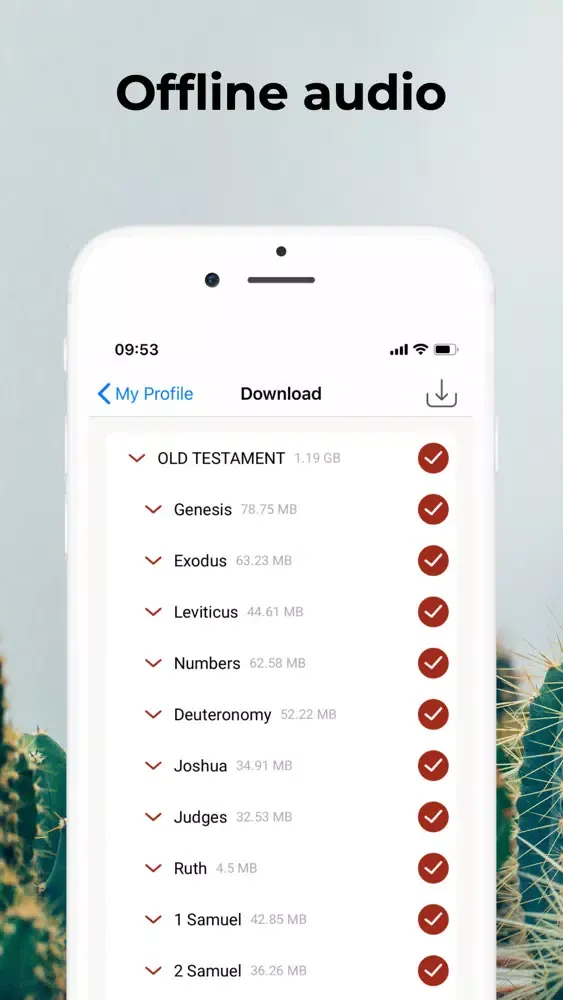 Ảnh chụp màn hình của Holy Bible: NKJV Audio Offline