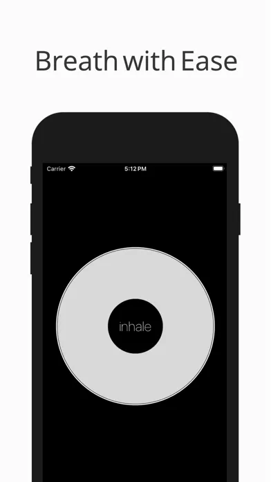 Capturas de pantalla de BreatheInSync