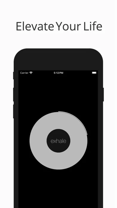 Capturas de pantalla de BreatheInSync