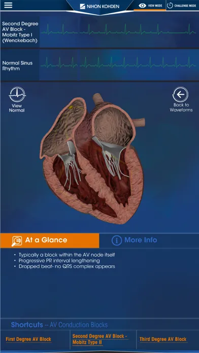 تصاویر NK Dimensions AR