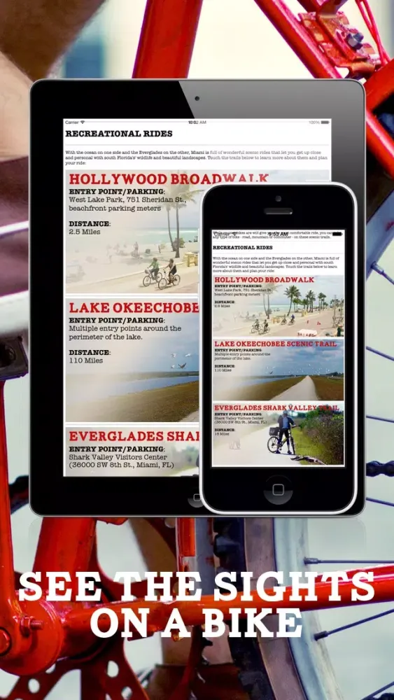 Miami Bikes Screenshots