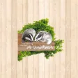 Wildhoeve Woudlopers Wildhoeve Woudlopers