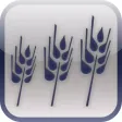 Bible Teachings by the Edge Christian Fellowship Bible Teachings by the Edge Christian Fellowship