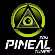 Pineal Tunes Pineal Tunes