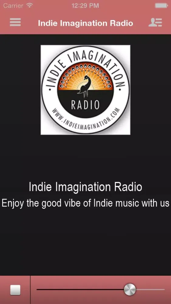 ภาพหน้าจอของ Indie Imagination Radio