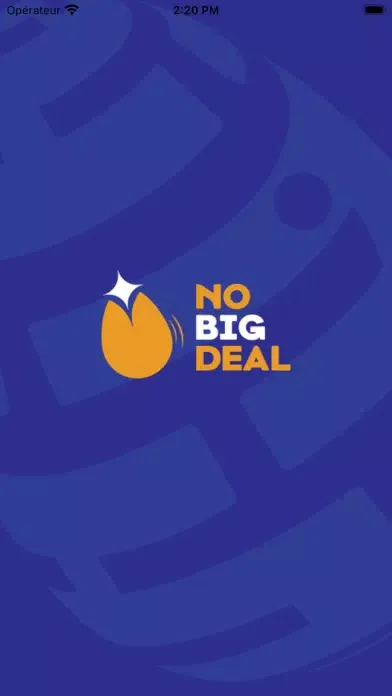 No Big Deal Business Ekran Görüntüleri