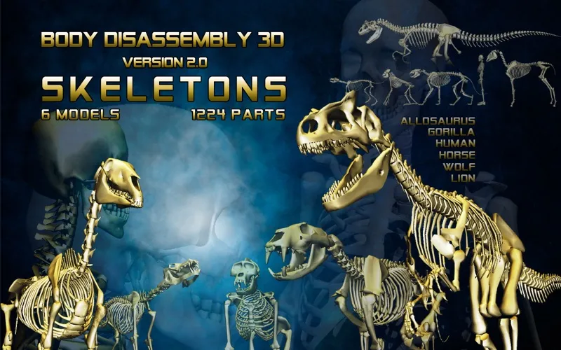 Screenshot di Body Disassembly 3D