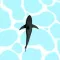 CrazyShark.io