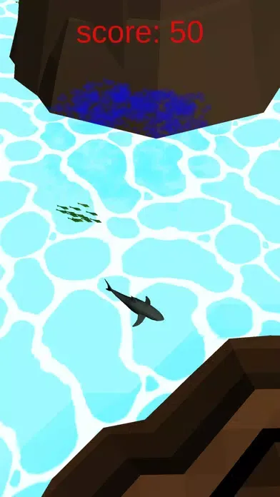 صور CrazyShark.io