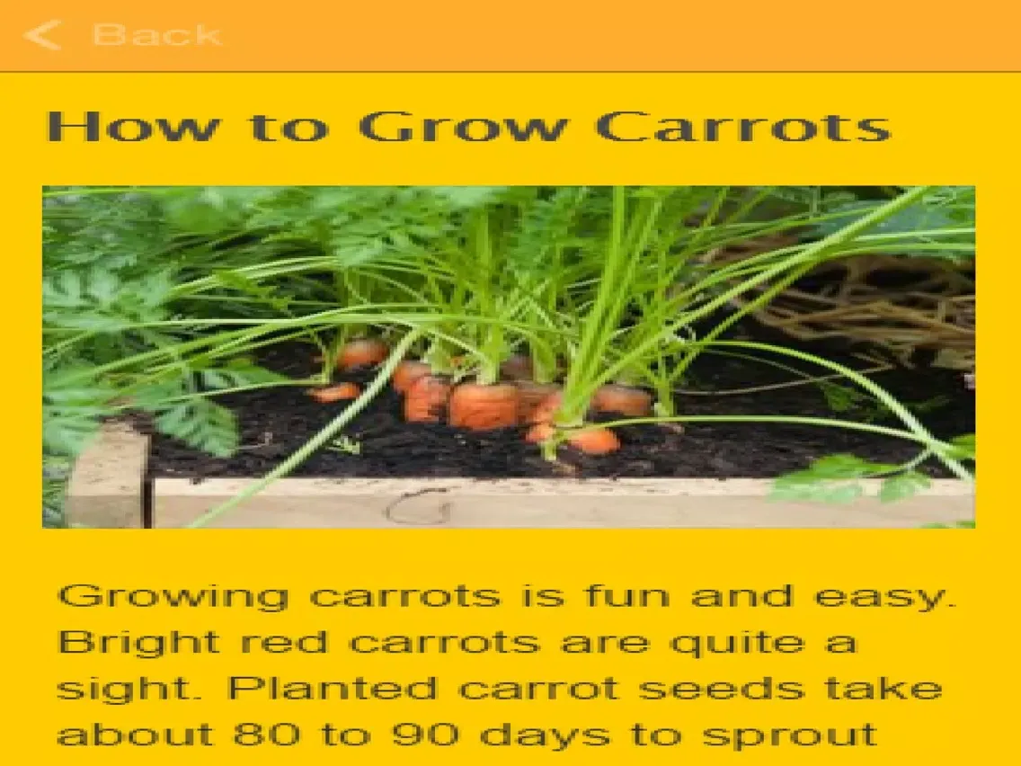 How To Grow Carrots iPad  スクリーンショット