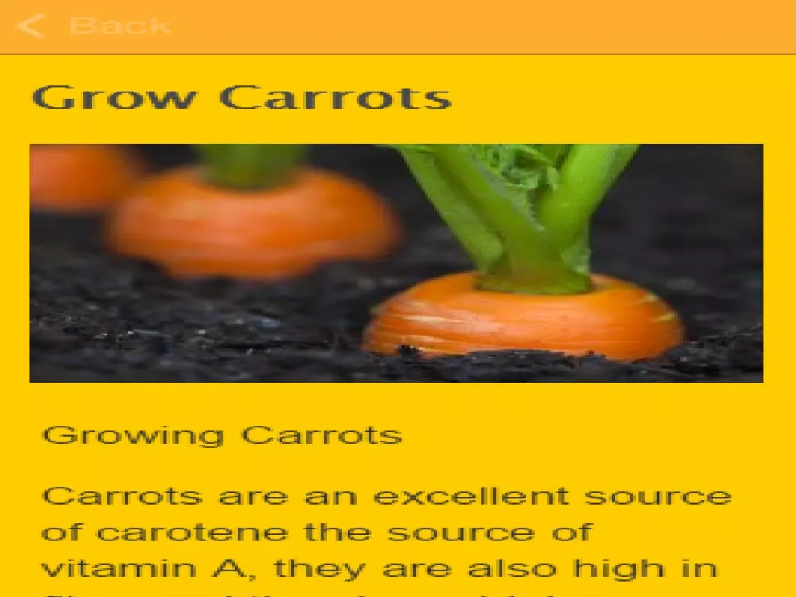 How To Grow Carrots iPad  スクリーンショット