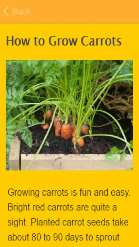 How To Grow Carrots スクリーンショット