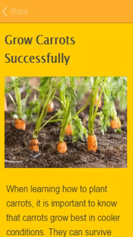 How To Grow Carrots スクリーンショット