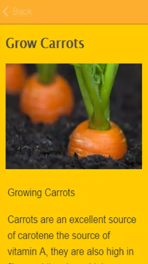 How To Grow Carrots スクリーンショット