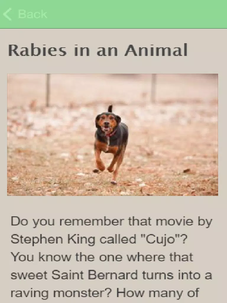 Symptoms Of Rabies iPad 应用截图