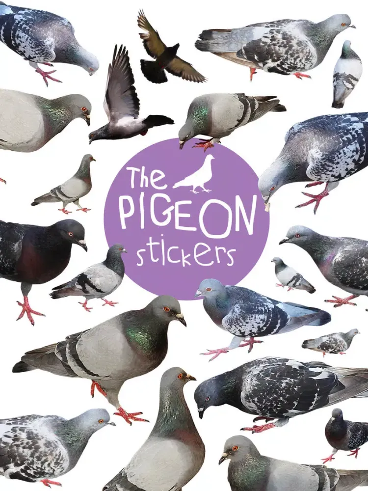 The Pigeon Stickers iPad 应用截图