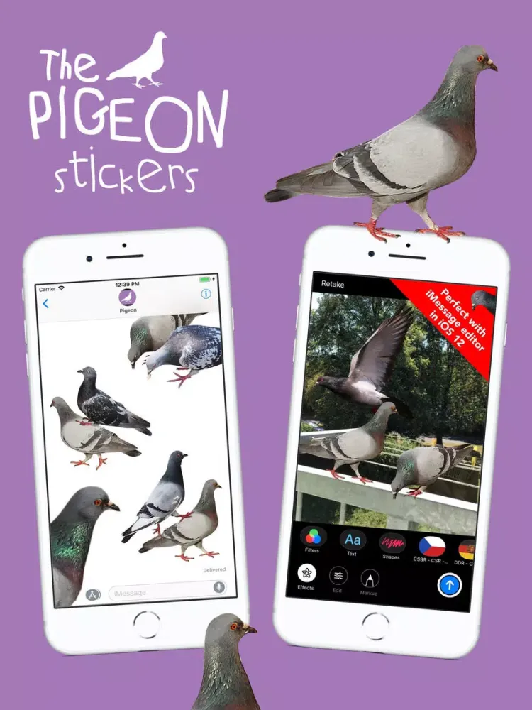 The Pigeon Stickers iPad 应用截图