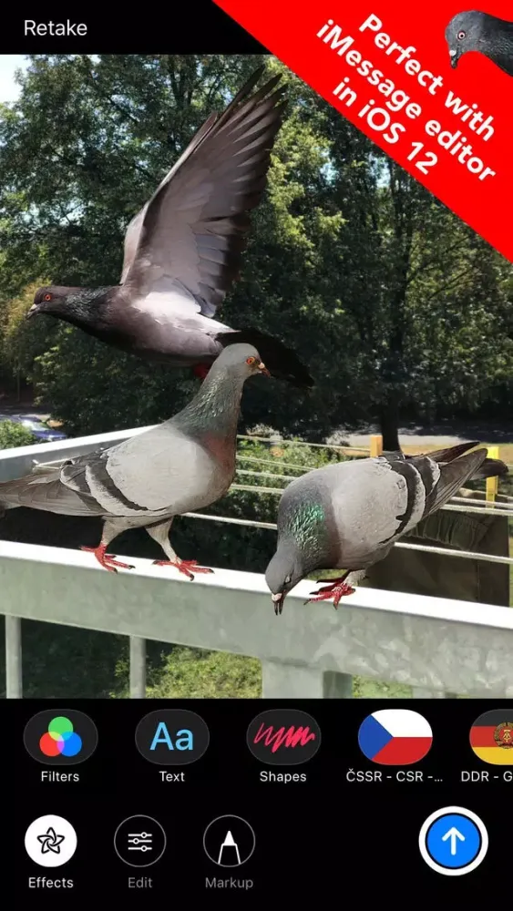 The Pigeon Stickers应用截图
