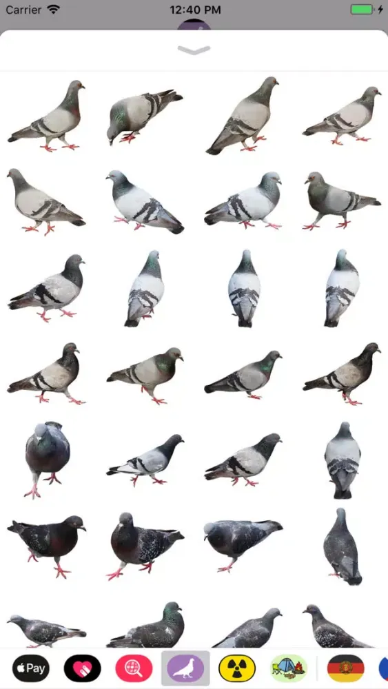 The Pigeon Stickers应用截图