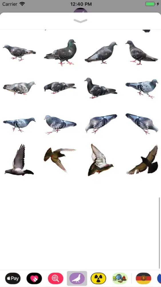 The Pigeon Stickers应用截图