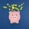 Budget Calculator - Weekly Allowance Manager