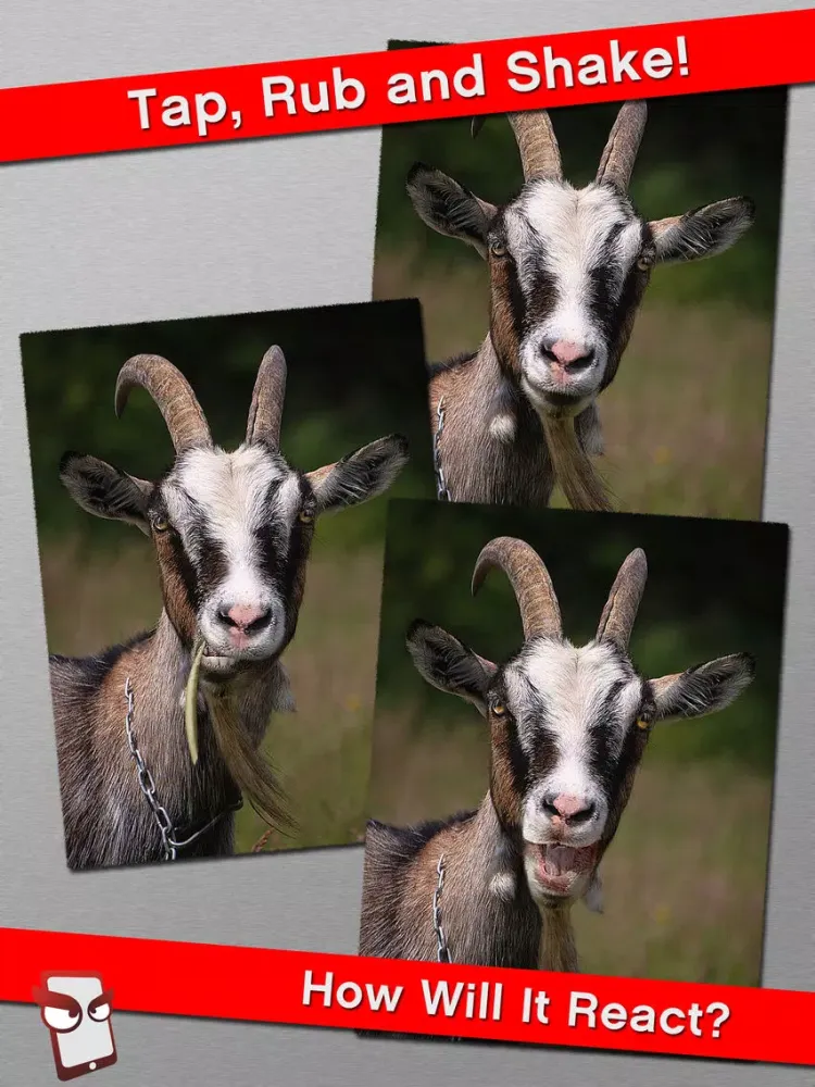 AngryFarm Free - The Angry Farm Animal Simulator iPad  स्क्रीनशॉट