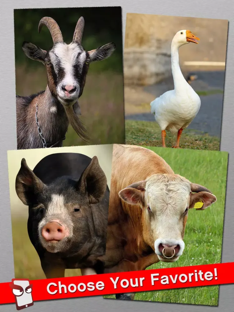 AngryFarm Free - The Angry Farm Animal Simulator iPad  स्क्रीनशॉट
