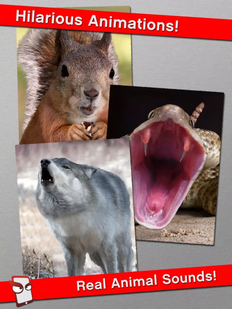 Capturas de tela do AngryWild Free - The Angry Wild Animal Simulator iPad 