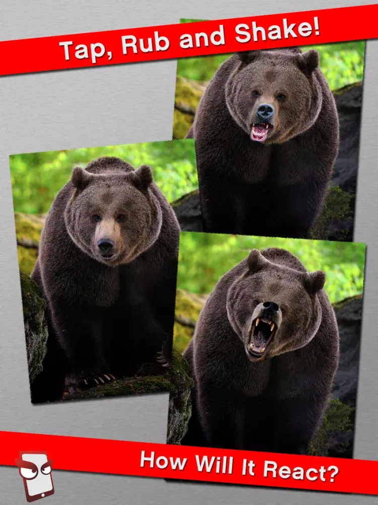 Capturas de tela do AngryWild Free - The Angry Wild Animal Simulator iPad 