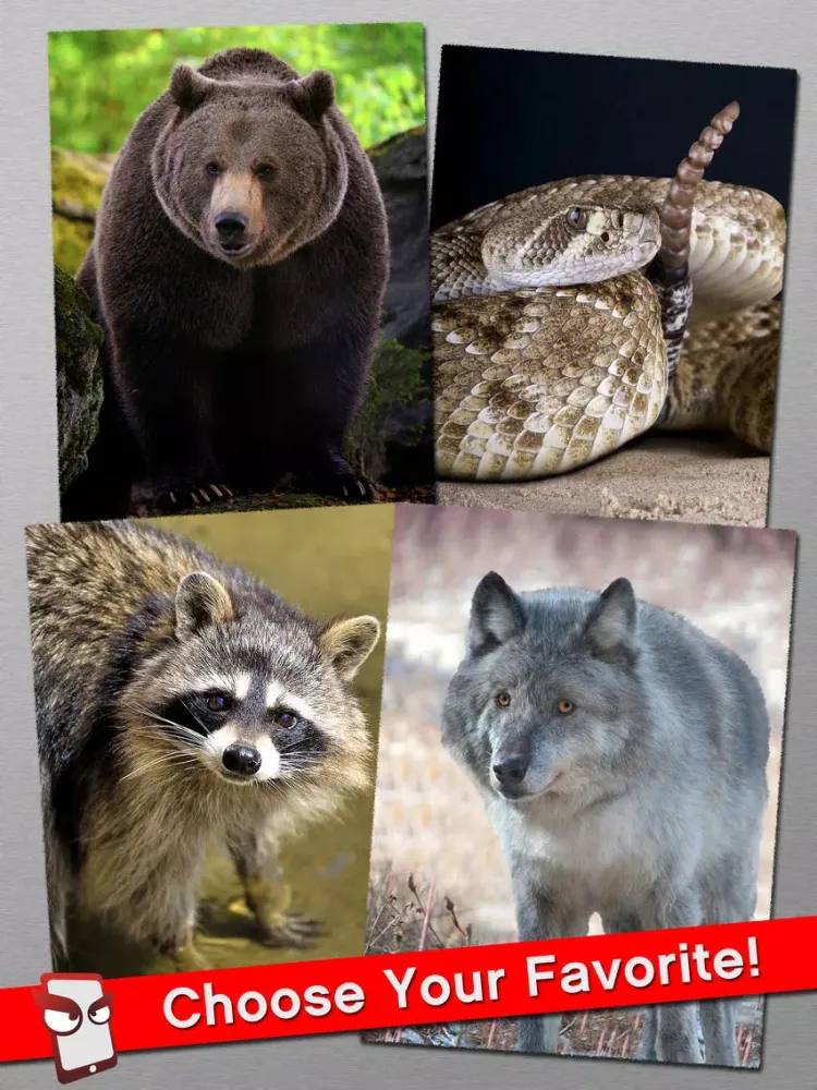 Capturas de tela do AngryWild Free - The Angry Wild Animal Simulator iPad 