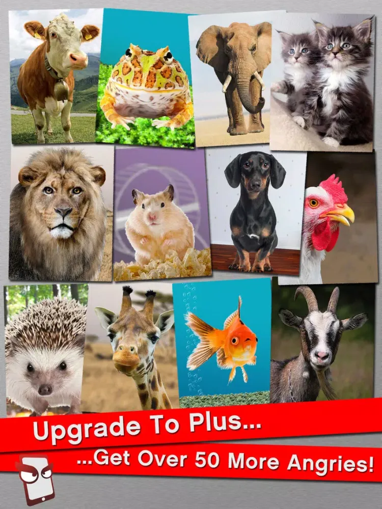 Capturas de tela do AngryWild Free - The Angry Wild Animal Simulator iPad 