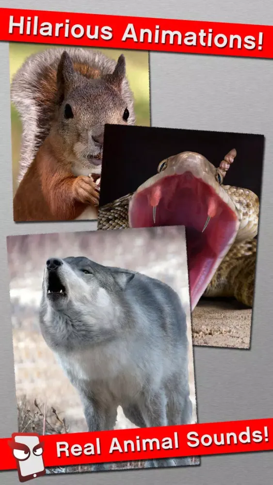 Capturas de tela do AngryWild Free - The Angry Wild Animal Simulator