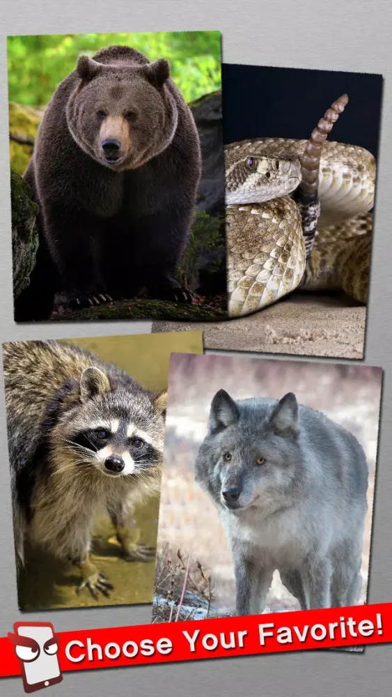Capturas de tela do AngryWild Free - The Angry Wild Animal Simulator