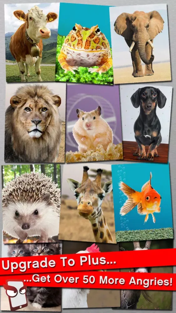 Capturas de tela do AngryWild Free - The Angry Wild Animal Simulator