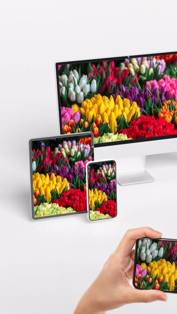 ภาพหน้าจอของ Cast TV Screen Mirroring Pro