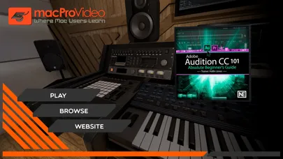 Tangkapan skrin Beginner Guide for Audition CC